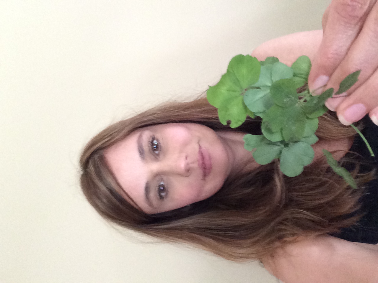 Marietta Vet Clinic Announces 15 Four Leaf Clovers Found over Memorial